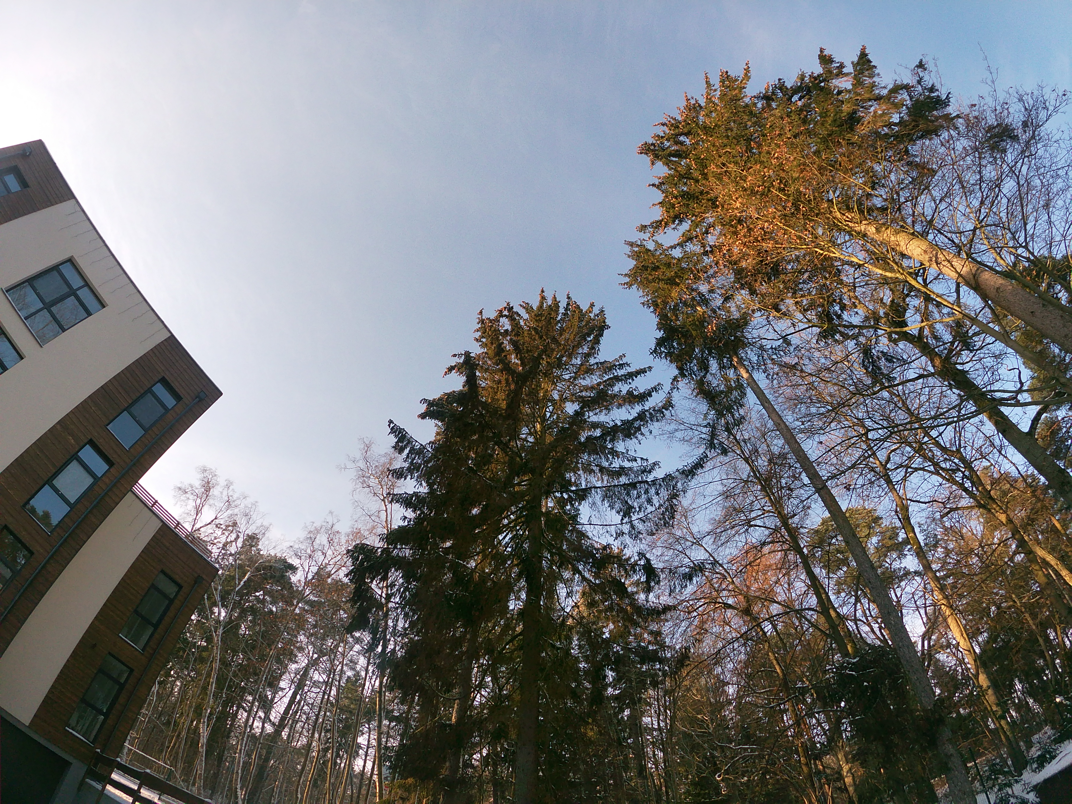 Фото Whale apart