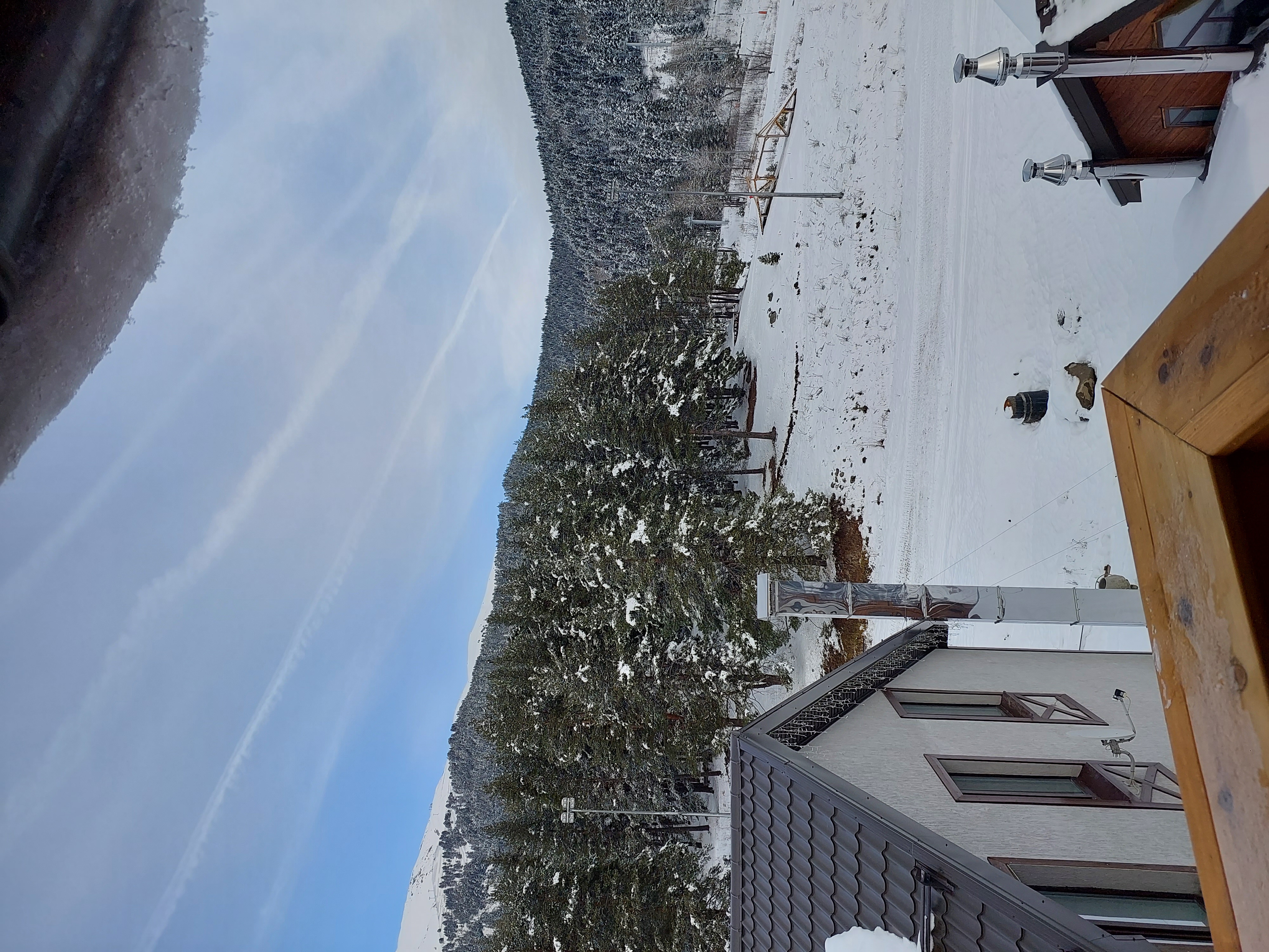 Фото Гризли