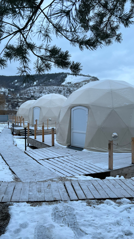 Фото Лисички-сестрички