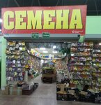 Magazin Tsvety (Trudovye Rezervy Street, 33А), flower shop