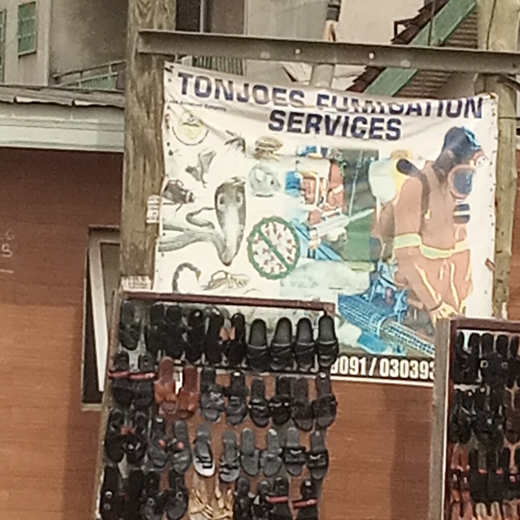 Disinfection, disinsection, deratization Tonjoues Fumigation Service, Earth, photo