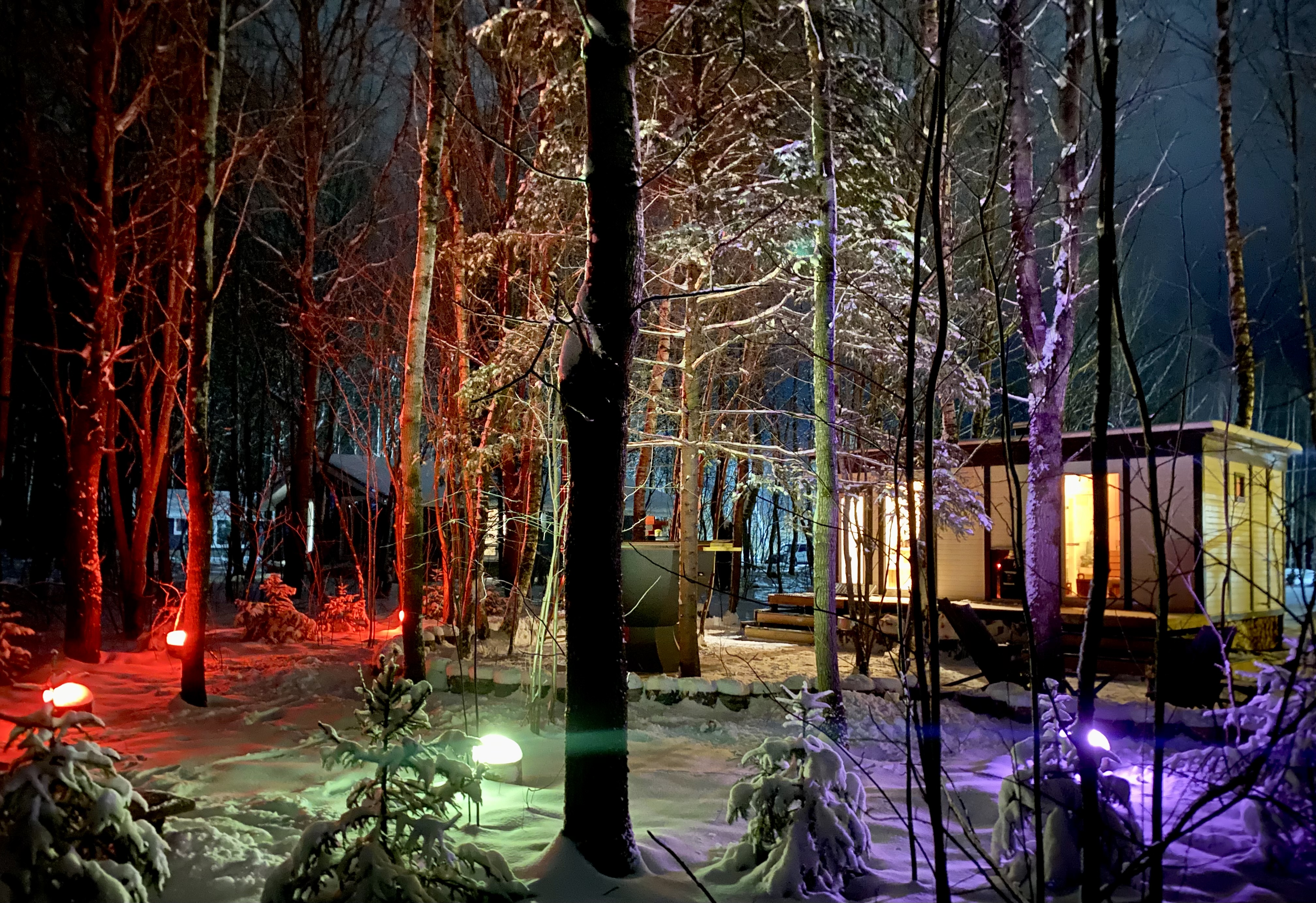 Фото Лес Эко Bилладж