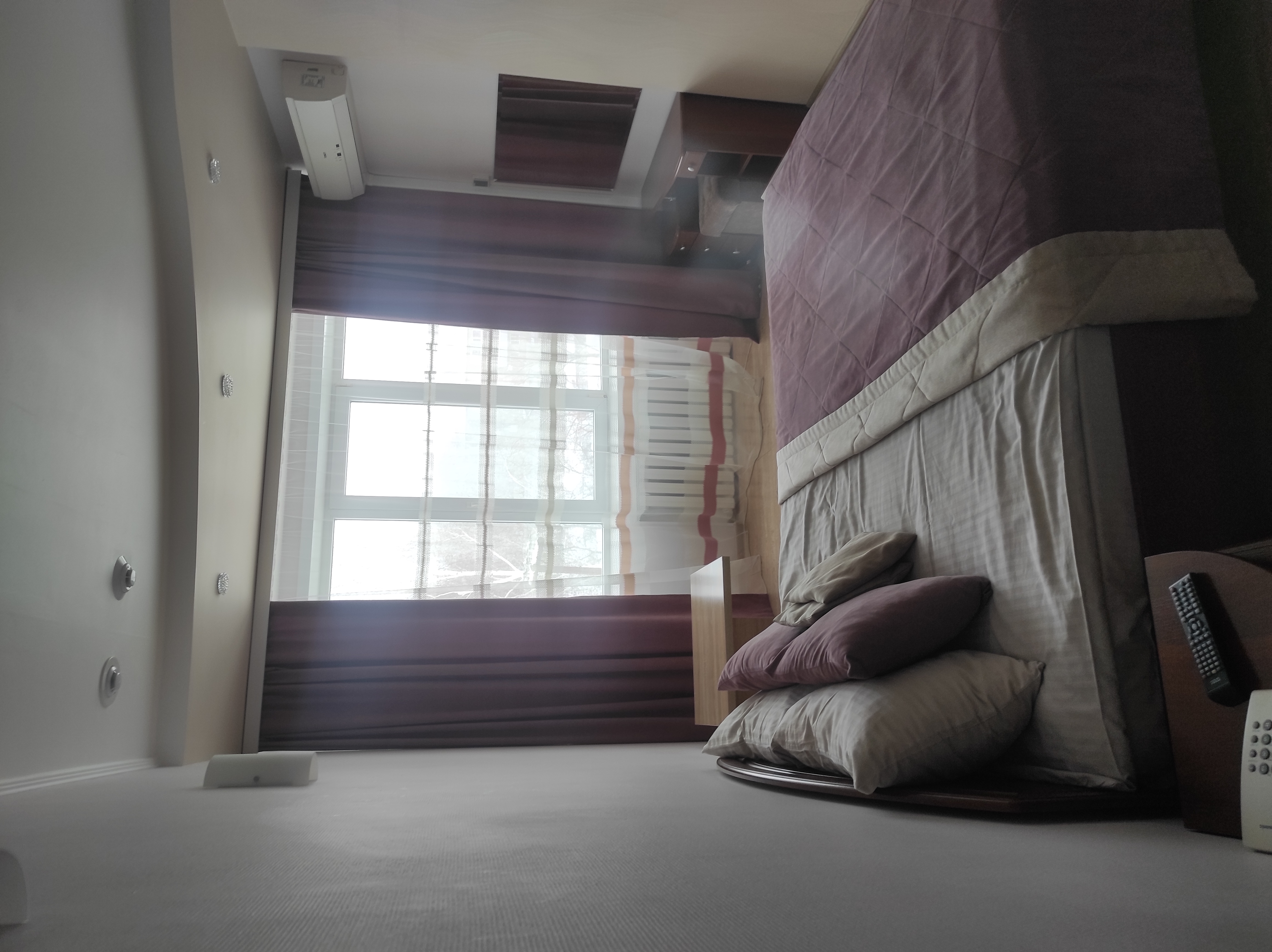 Фото Алейка