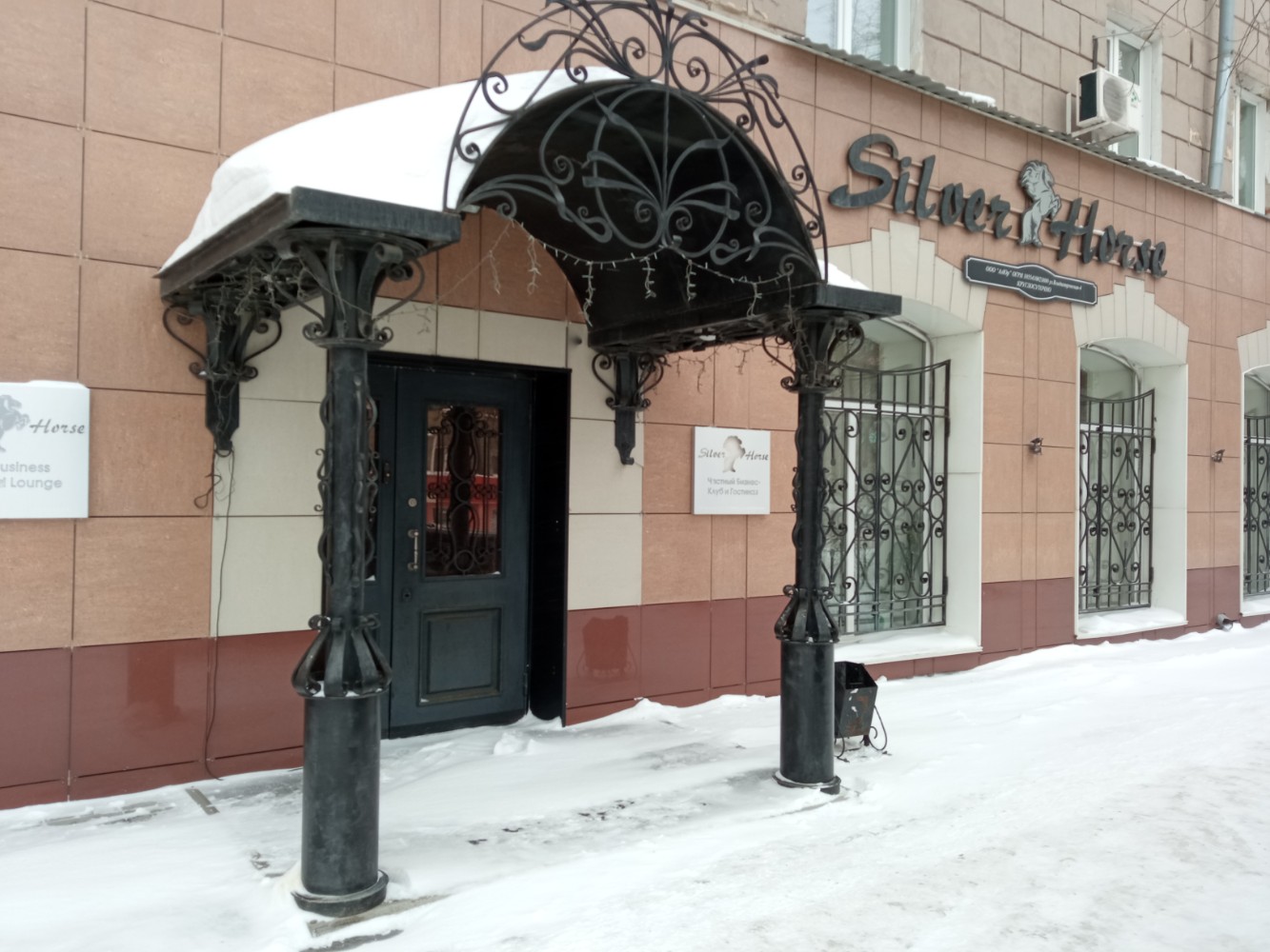 Фото Серебряная лошадь