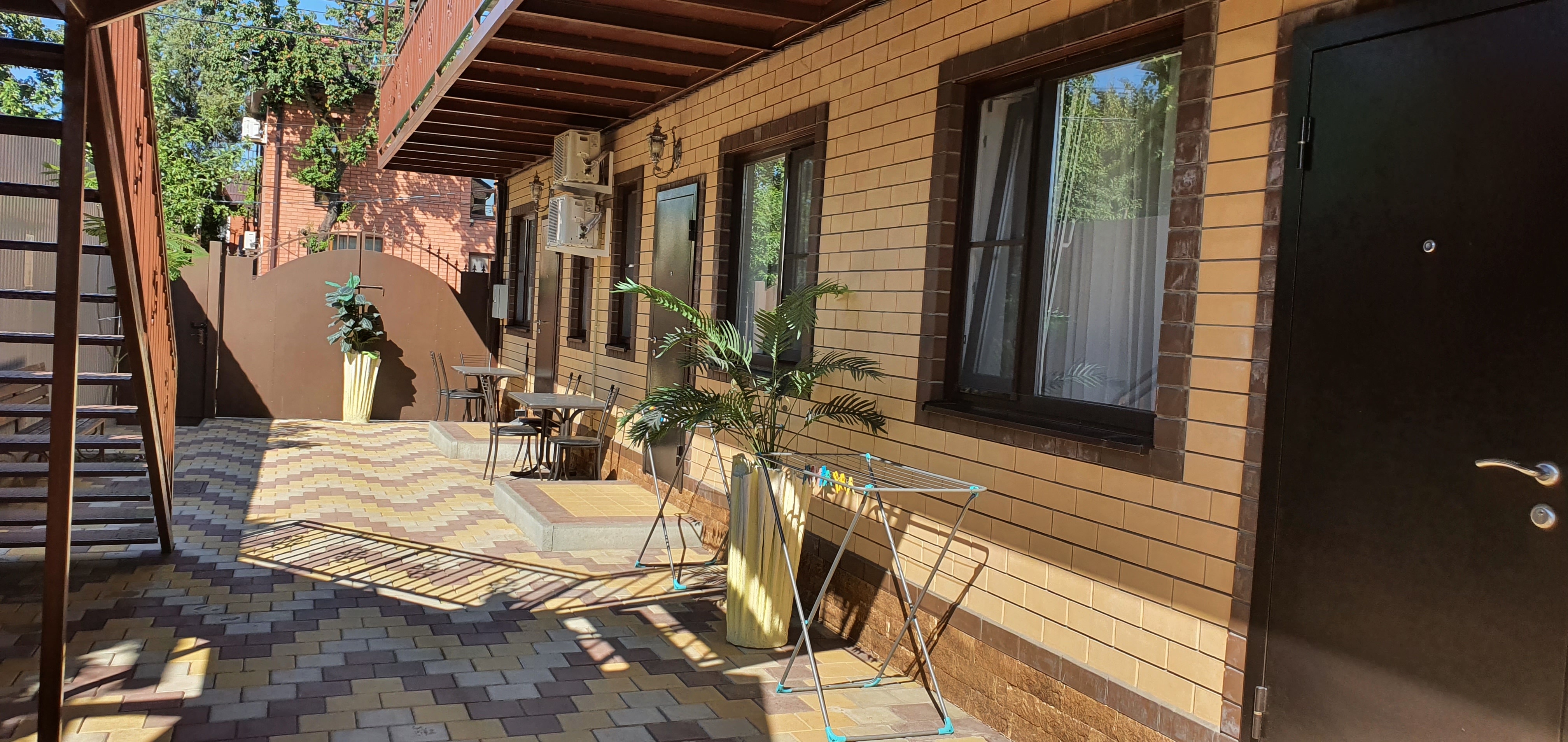 Фото Мандарин