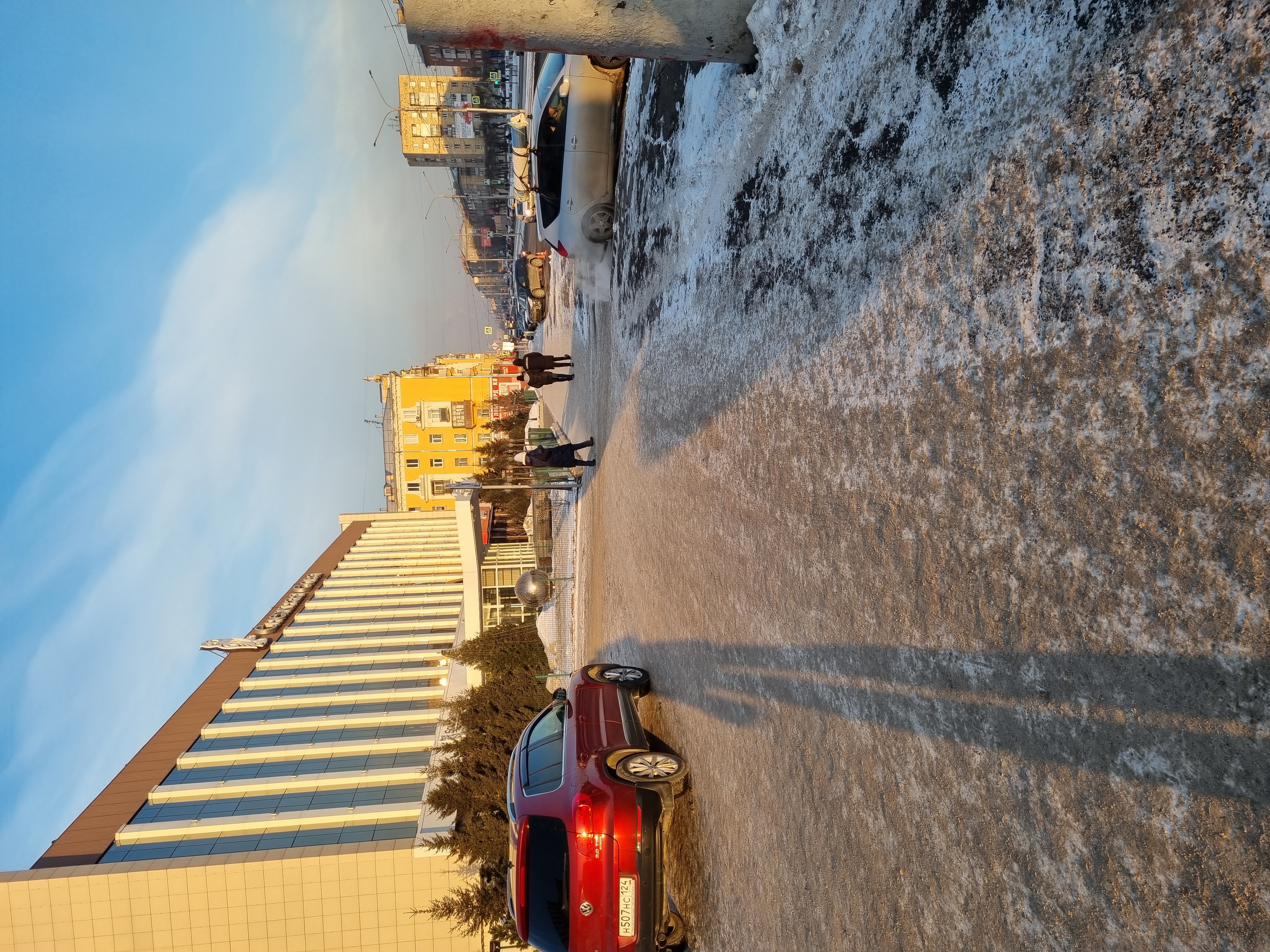 Фото Снежная сова