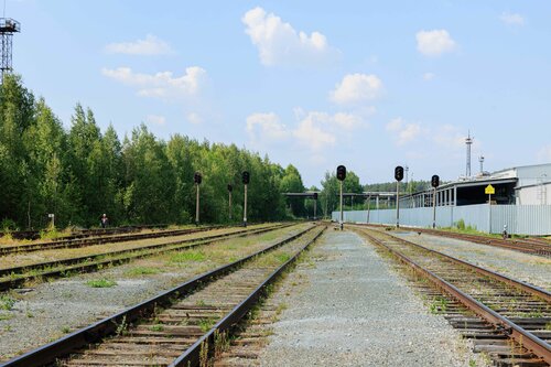 Әлемдегі ең жақсы порно фильмдер