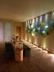 Amoveo SPA (Moskovskiy Avenue, 163к2) ، منتجعات