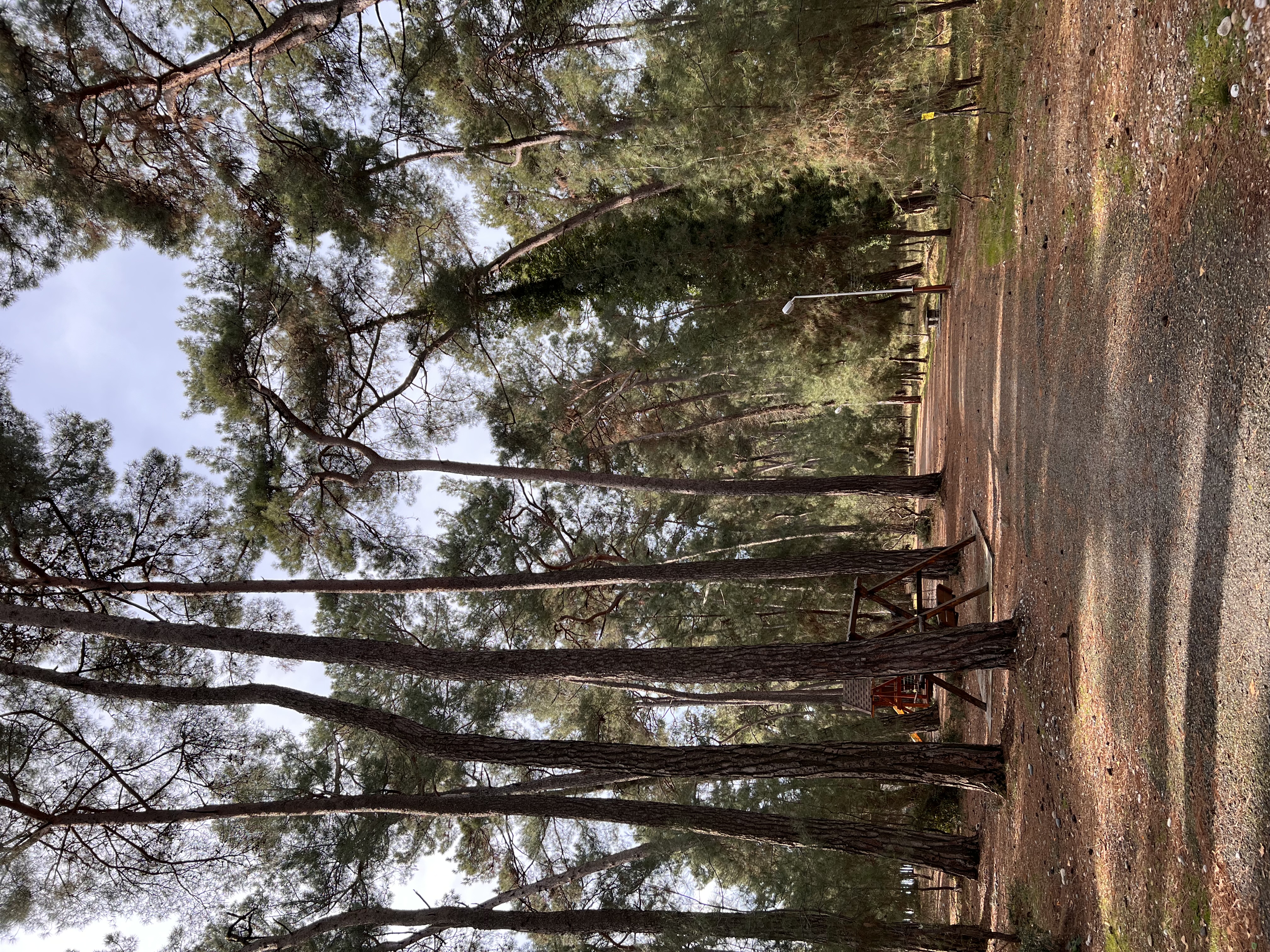 Фото Гостевой дом Сали