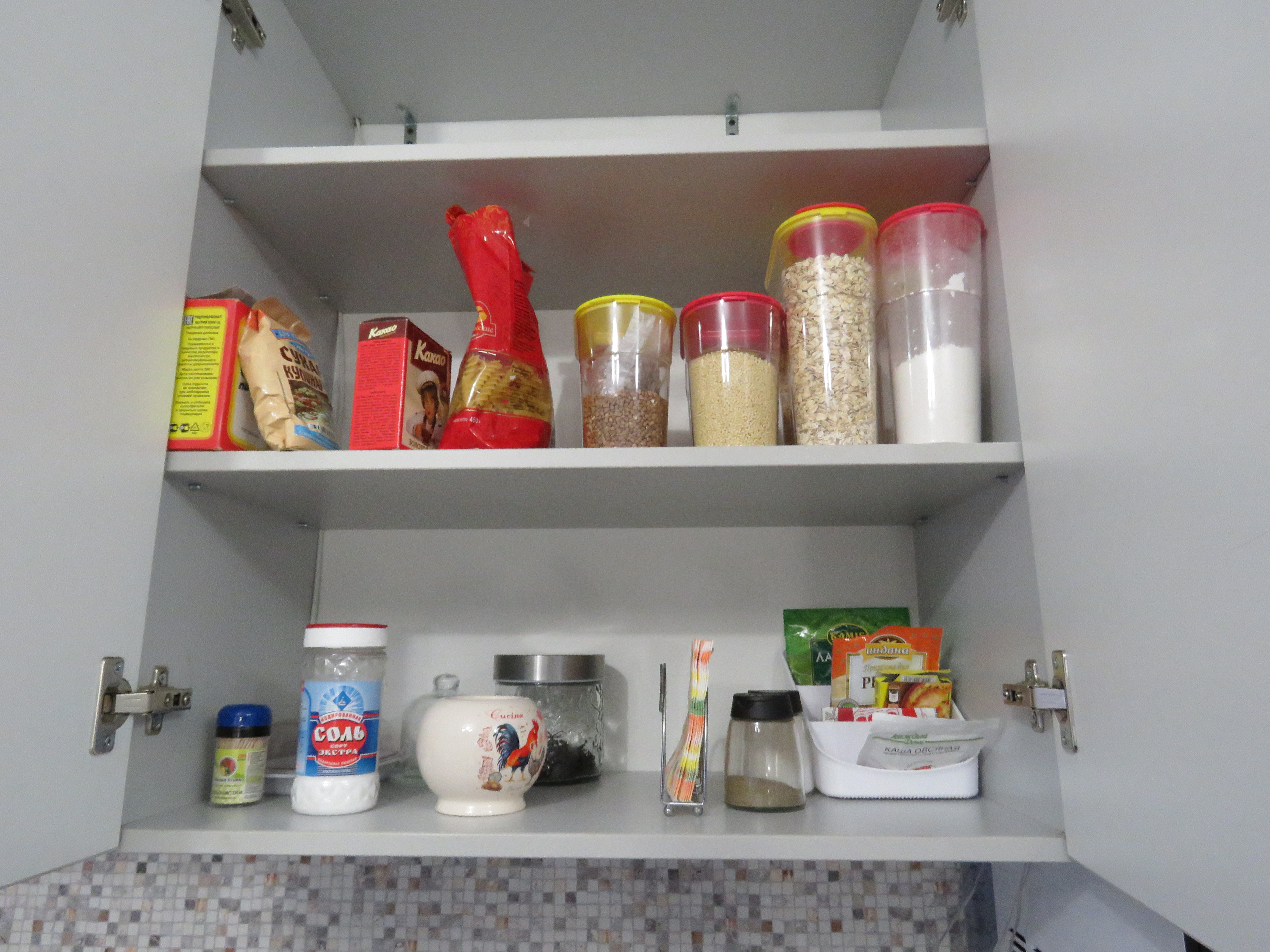 Фото Кот и кошка