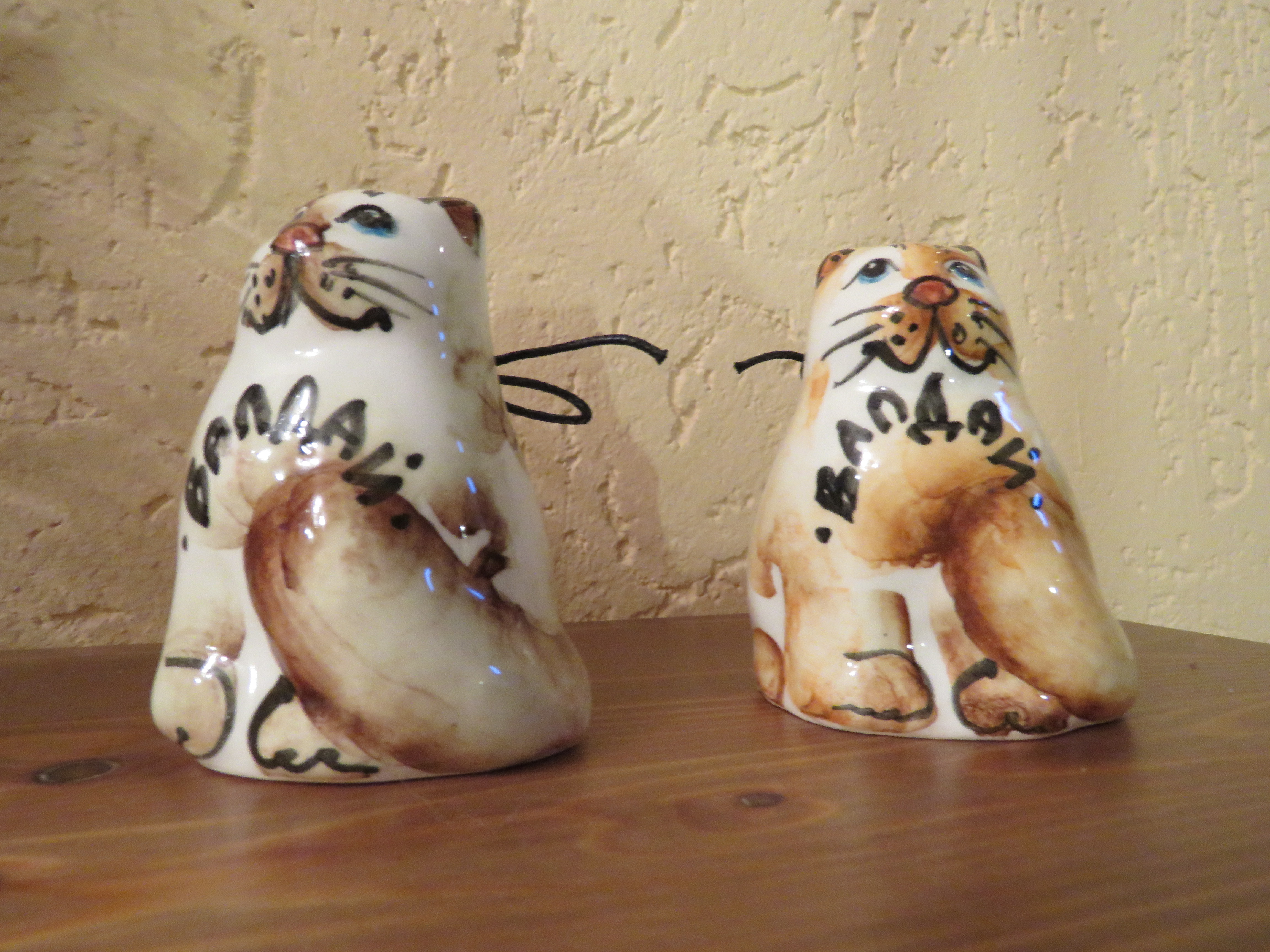 Фото Кот и кошка