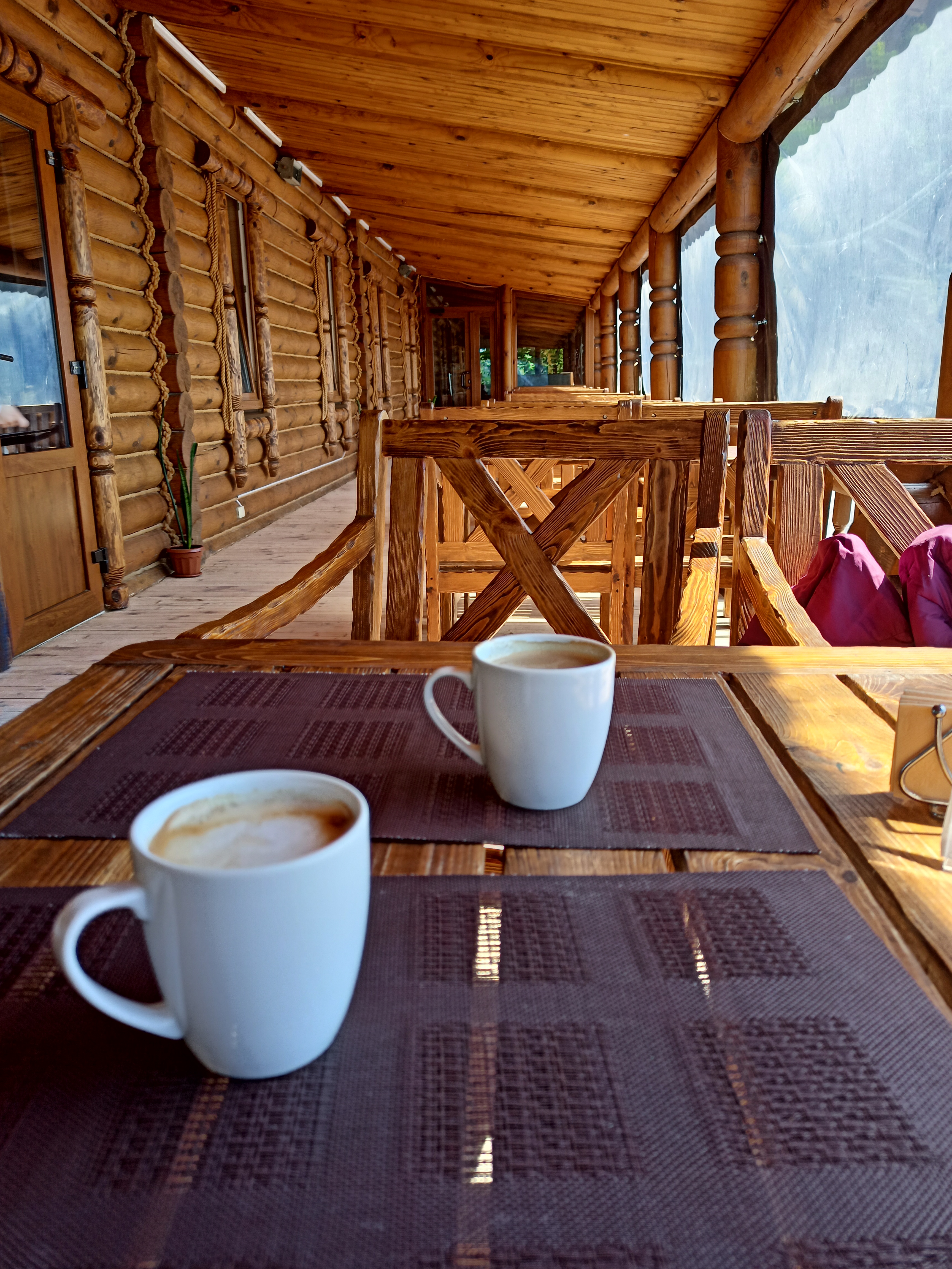 Фото Кленовая роща