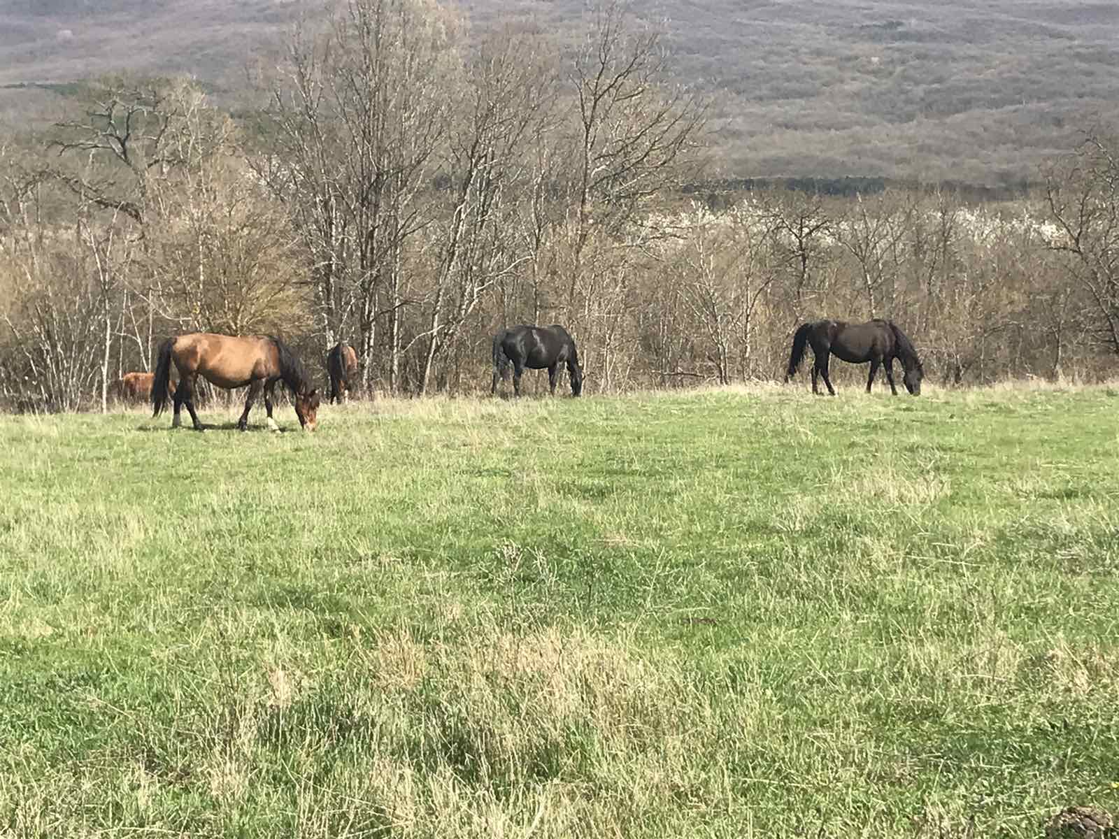 Фото Орлиный залет