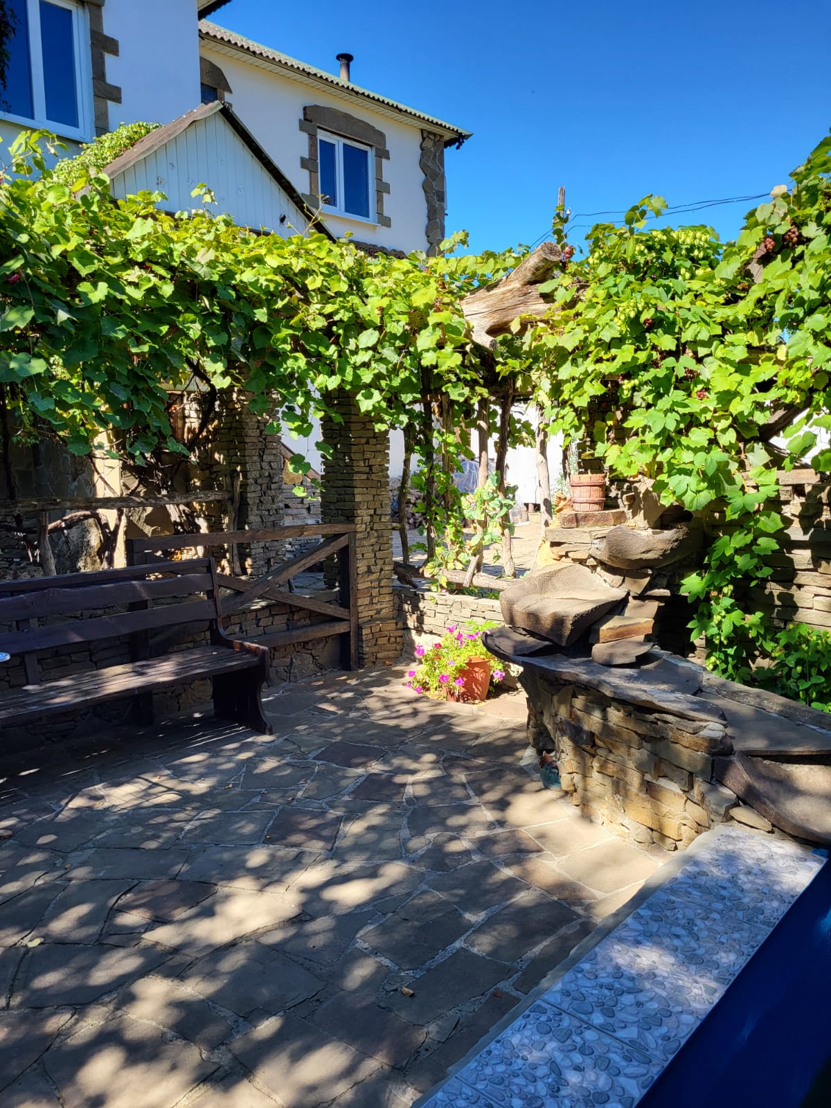 Фото Сказка