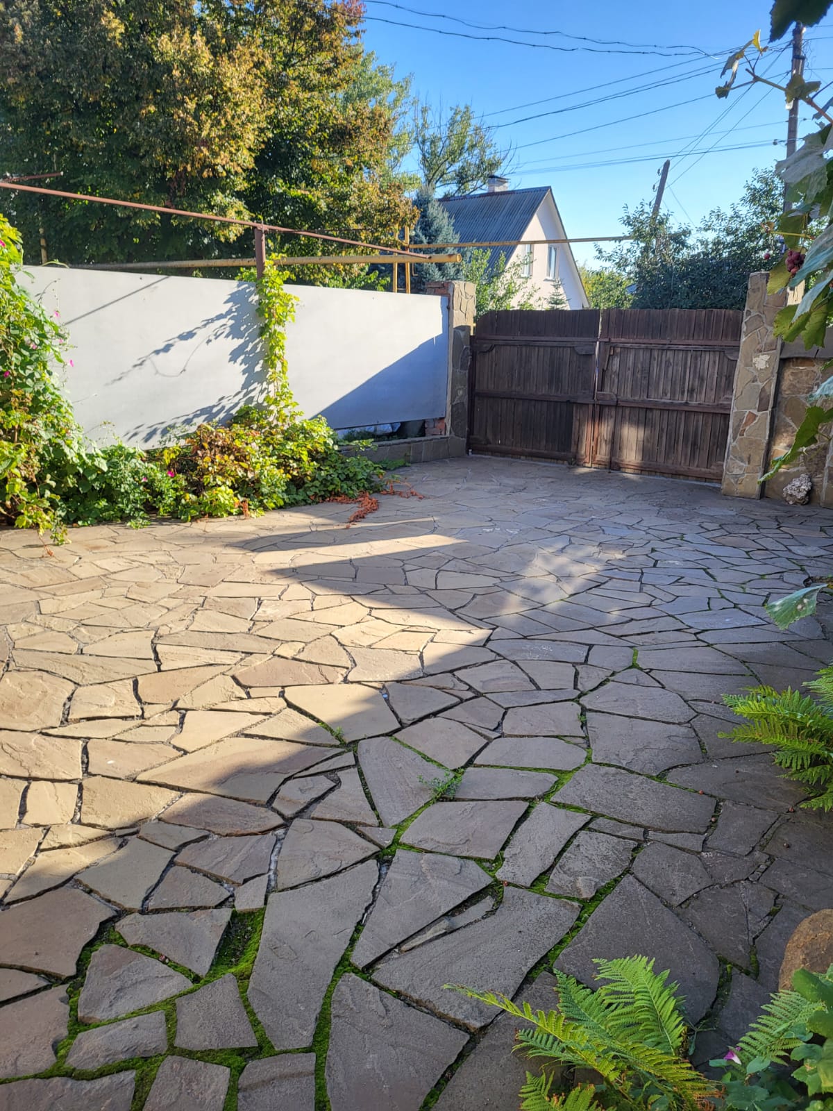 Фото Сказка