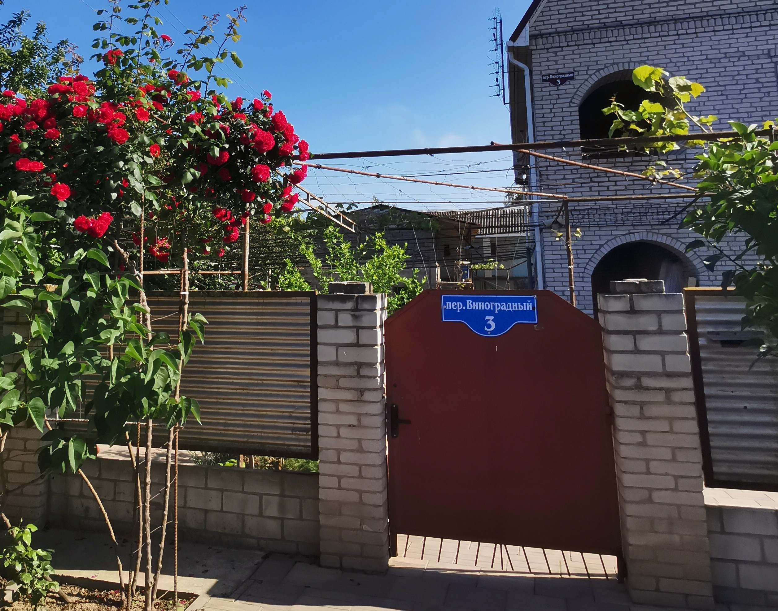 Фото Берег Благи