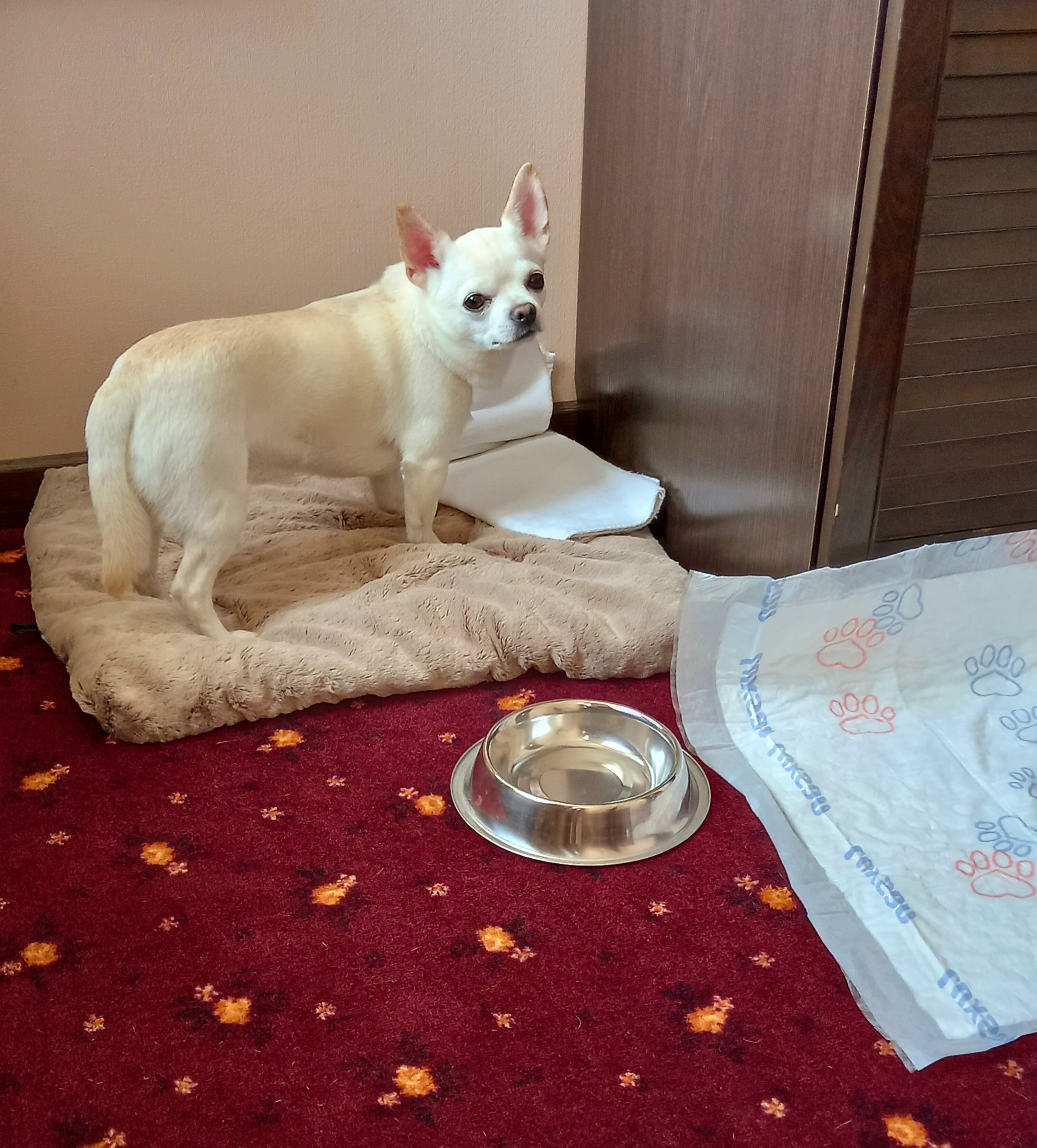 Фото Гайд Парк