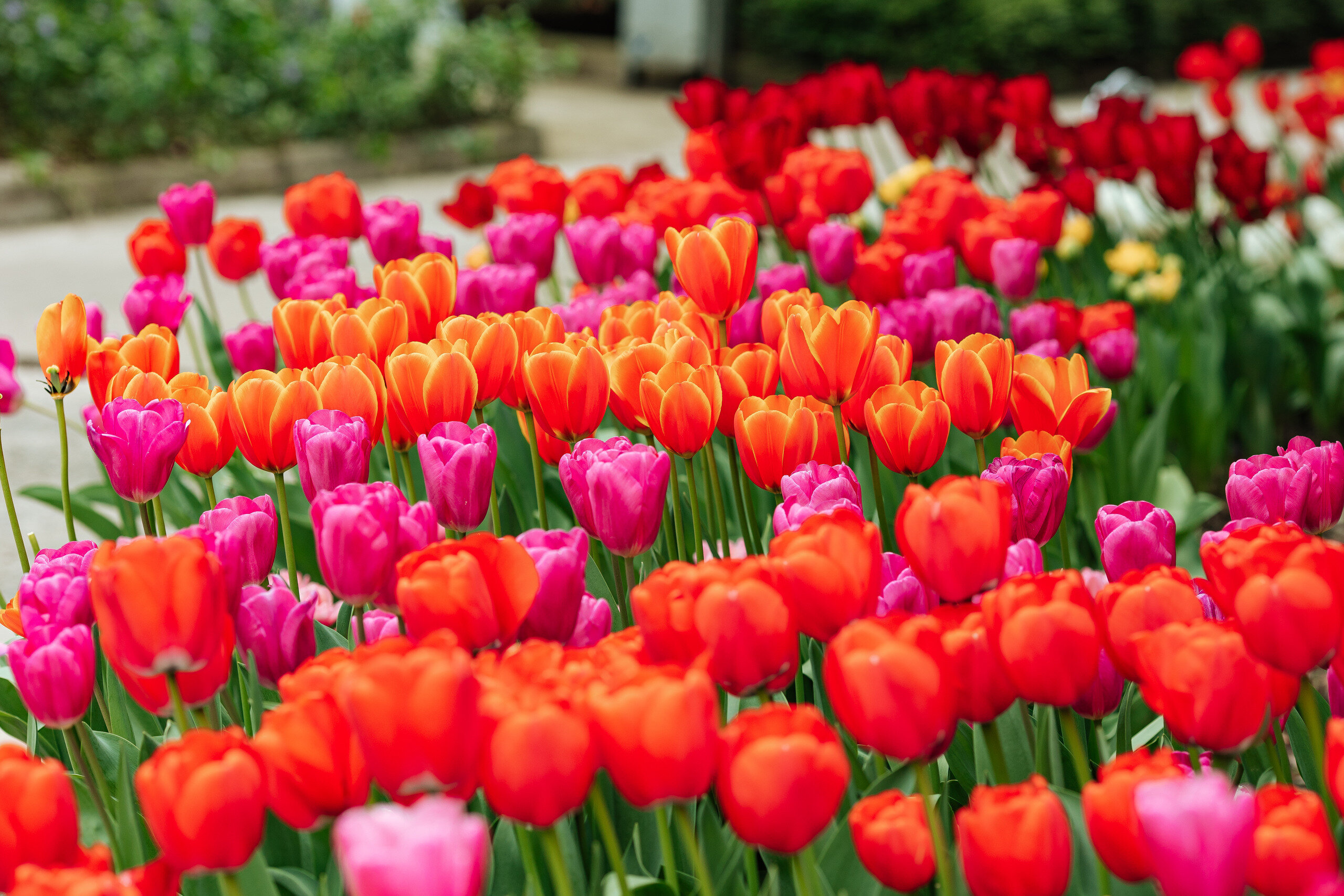 Фото Южное взморье