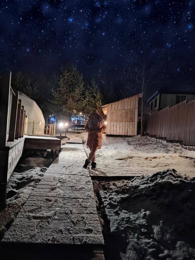 Фото Лисички-сестрички