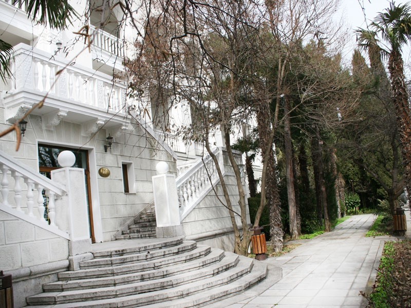 Фото Сосновая роща