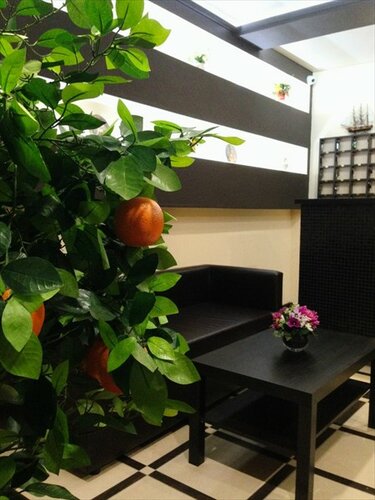 Гостиница Афины в Республике Коми