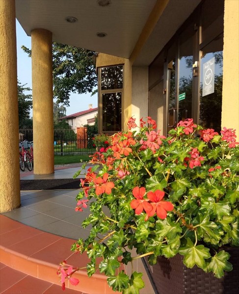 Фото Вальде Парк