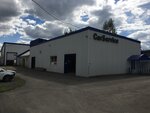 Car Service (ulitsa Tsentralny Perekhod, 9), car service, auto repair