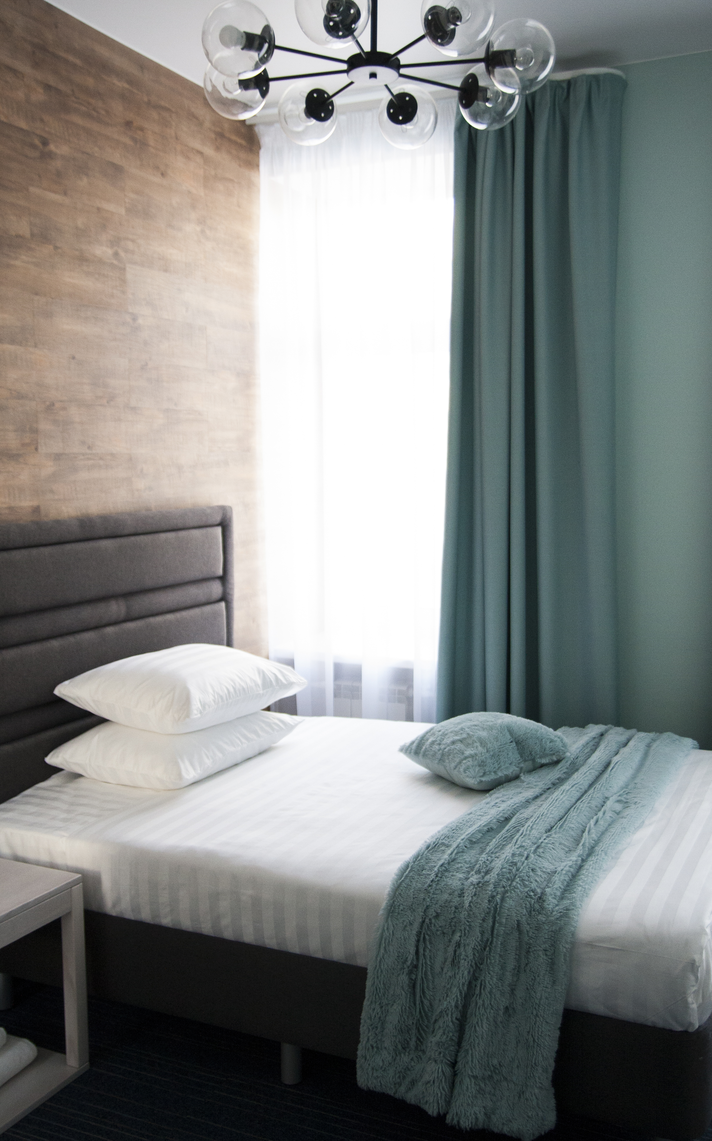 Фото Аристократ