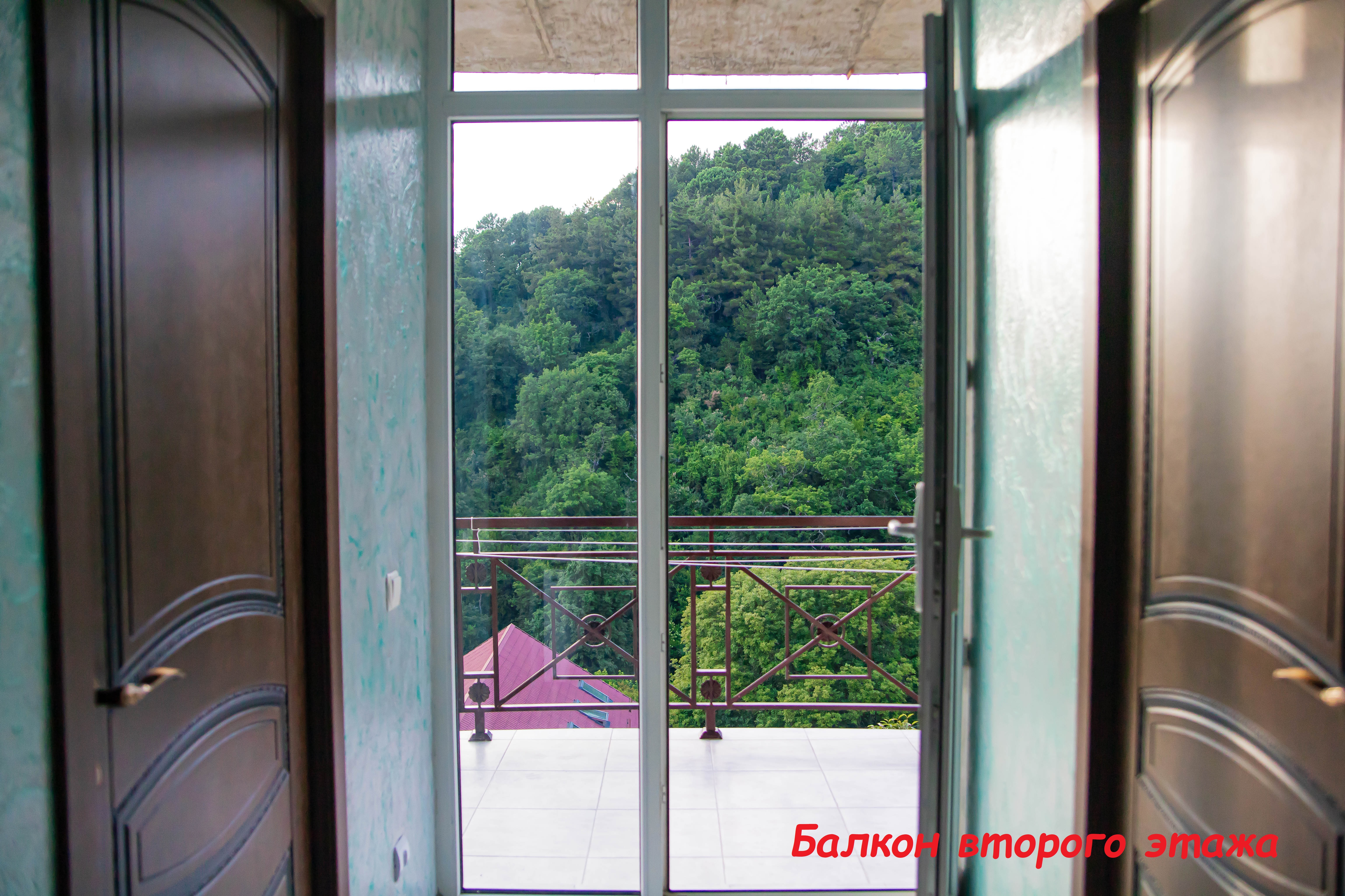 Фото Соболь