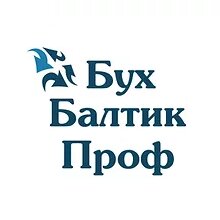 Бухбалтик проф