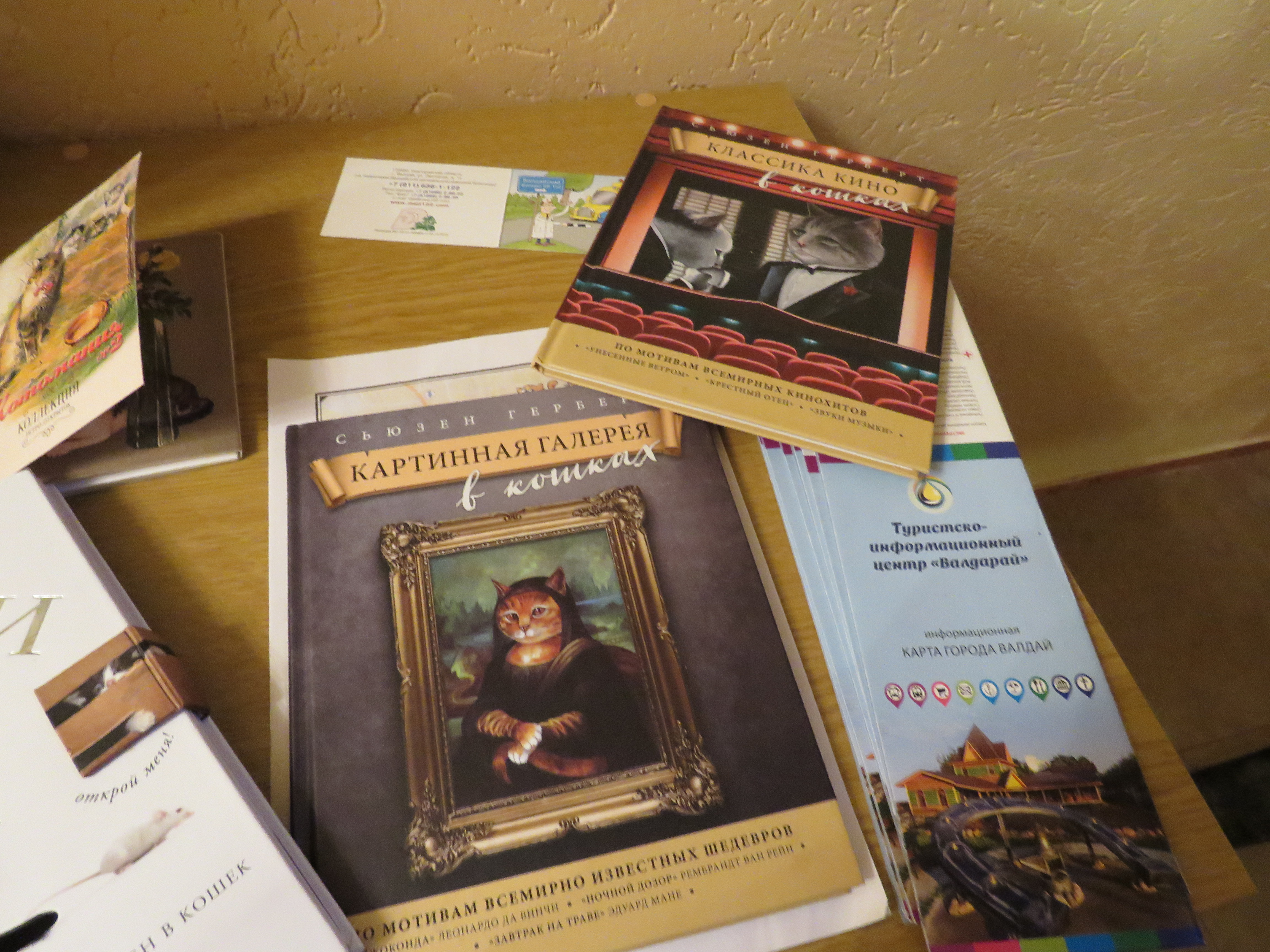 Фото Кот и кошка