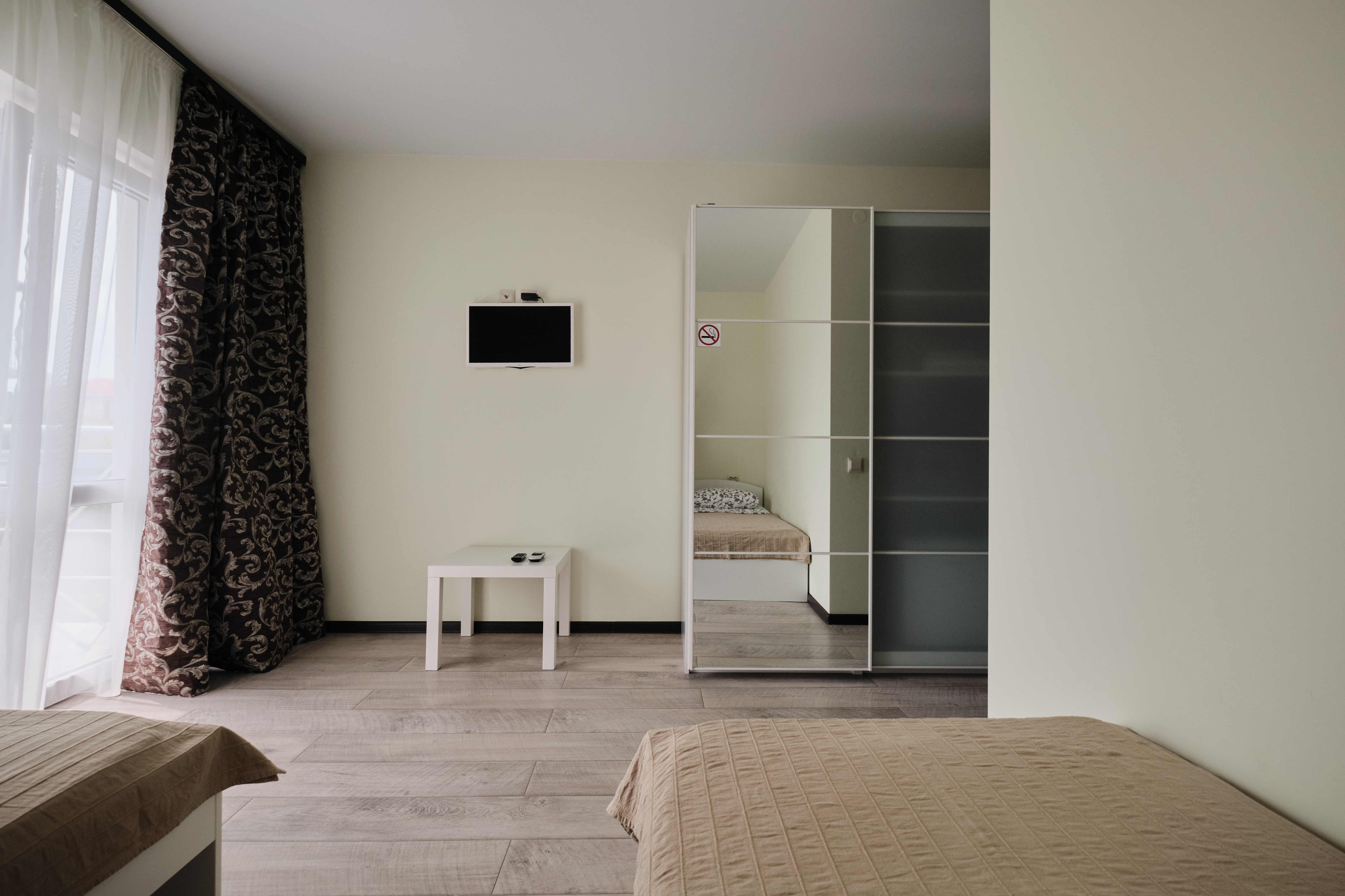 Фото Солнечная орхидея