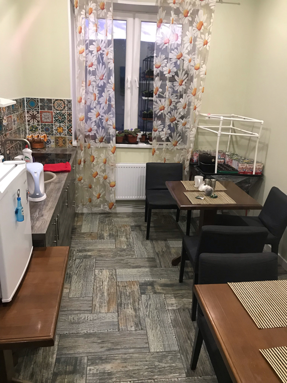 Фото Сова в Шереметьево