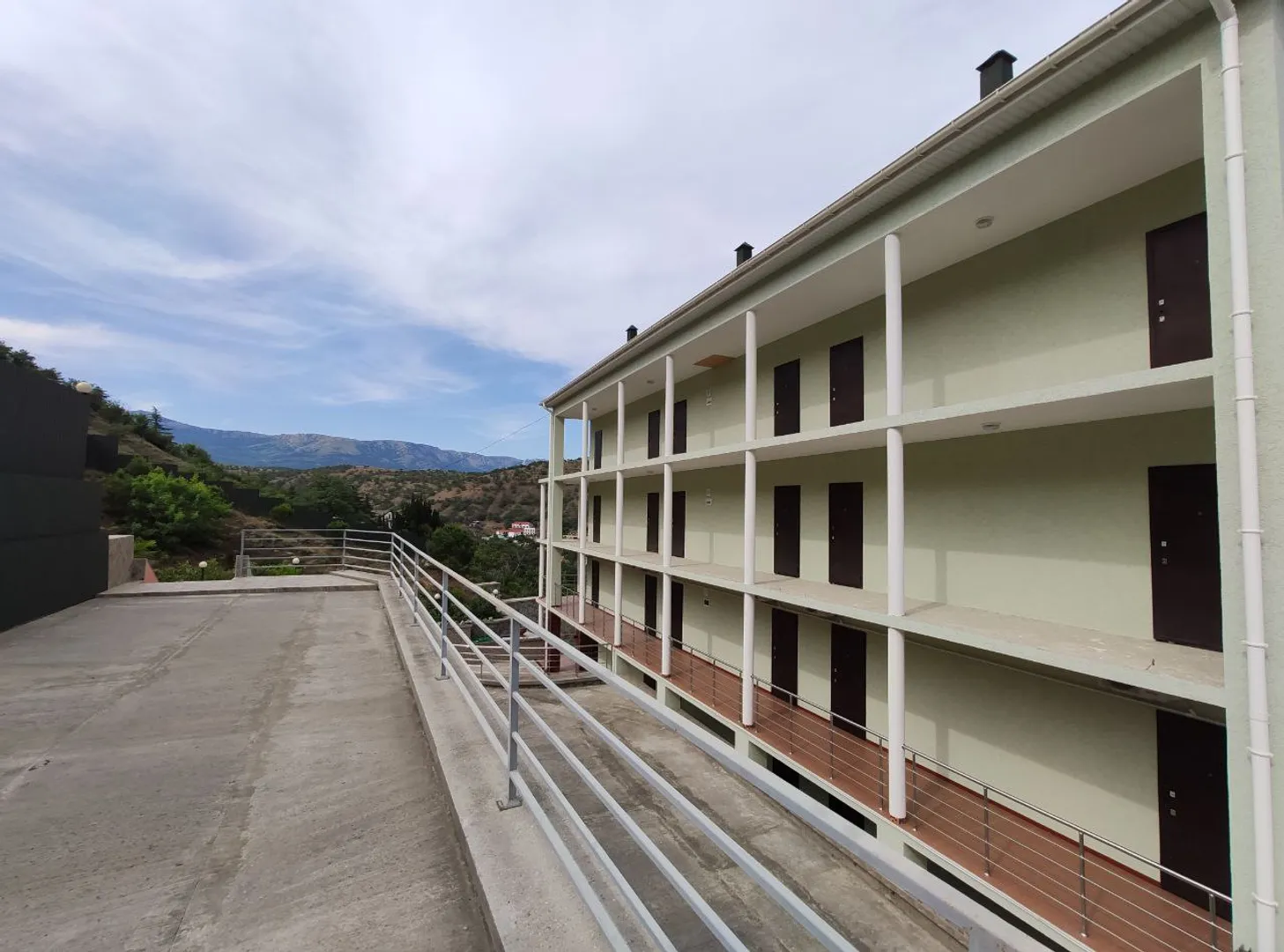 Фото Дельфин