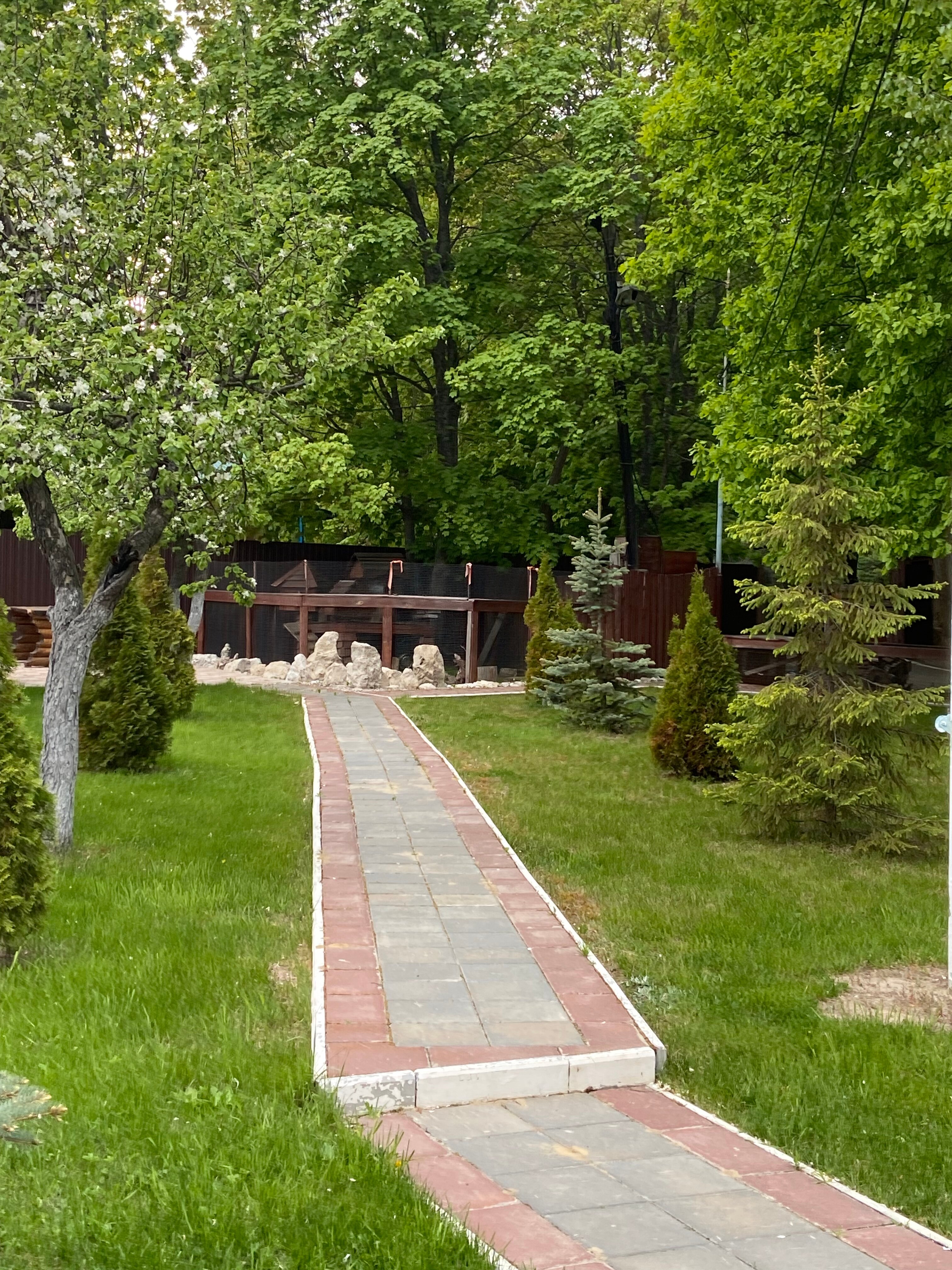 Фото Серебряный Бор