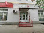 Flowers 24 (Tashkentskaya Street, 19), flower shop
