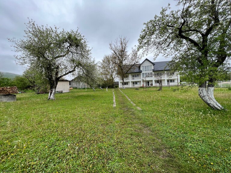 Фото Ореховая роща в Даховской