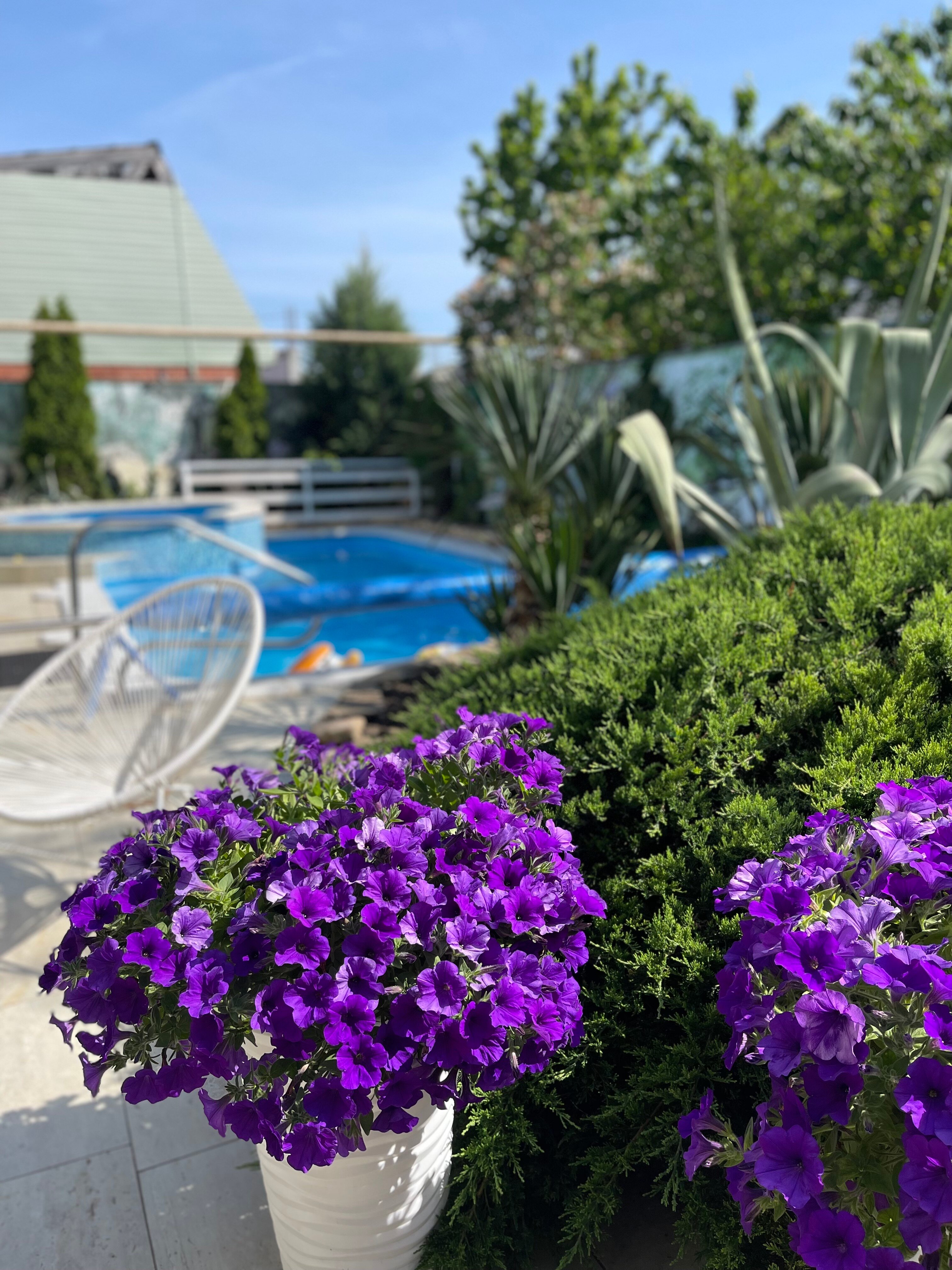 Фото Вилла Виталия