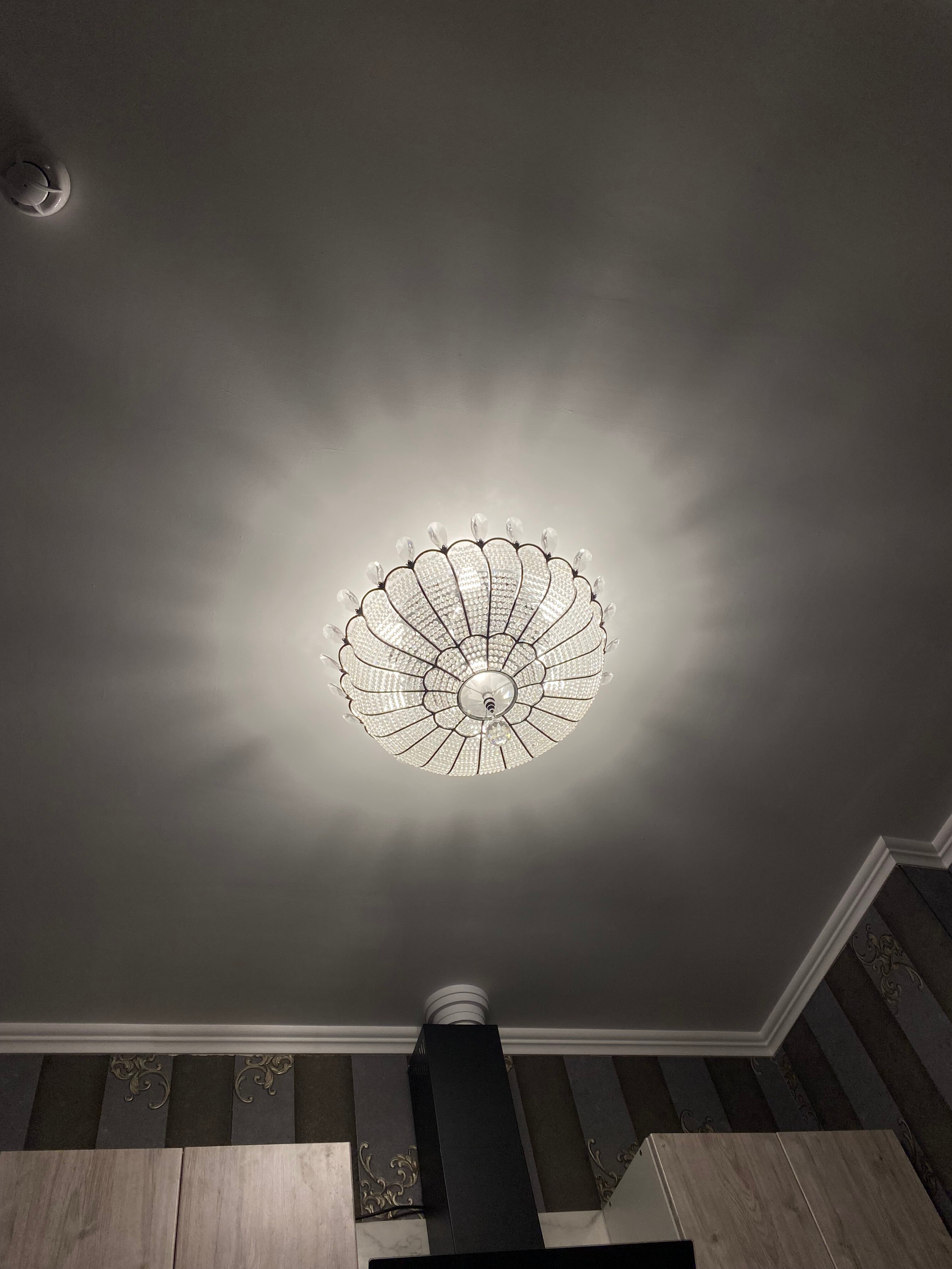 Фото Калина