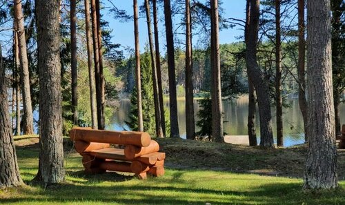 Иное жильё Хижина в Пеновском районе