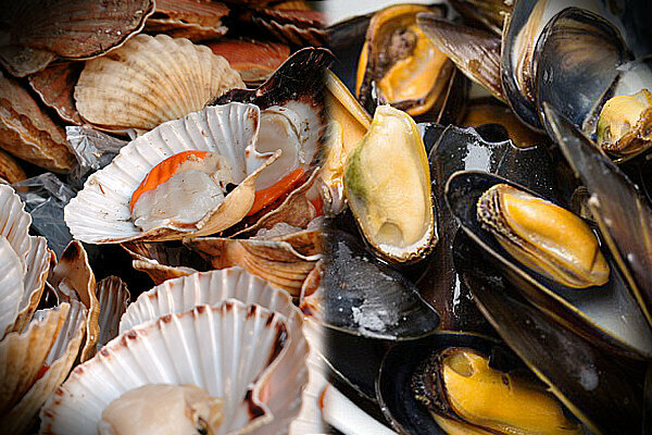 Food manufacturers Perfect International Fish Processing, Ajman, photo