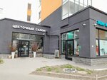 Cotton (Plesetskaya Street, 14) ، محل زهور