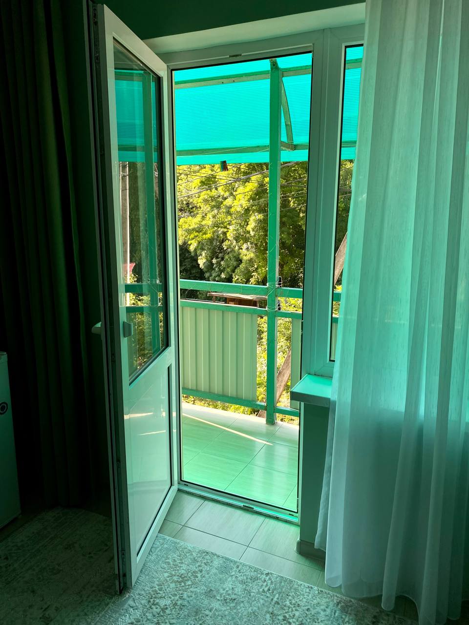 Фото Поющий Колибри