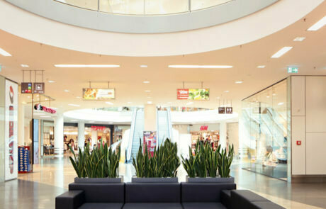 Furniture store Bigtree Furniture, Dubai, photo