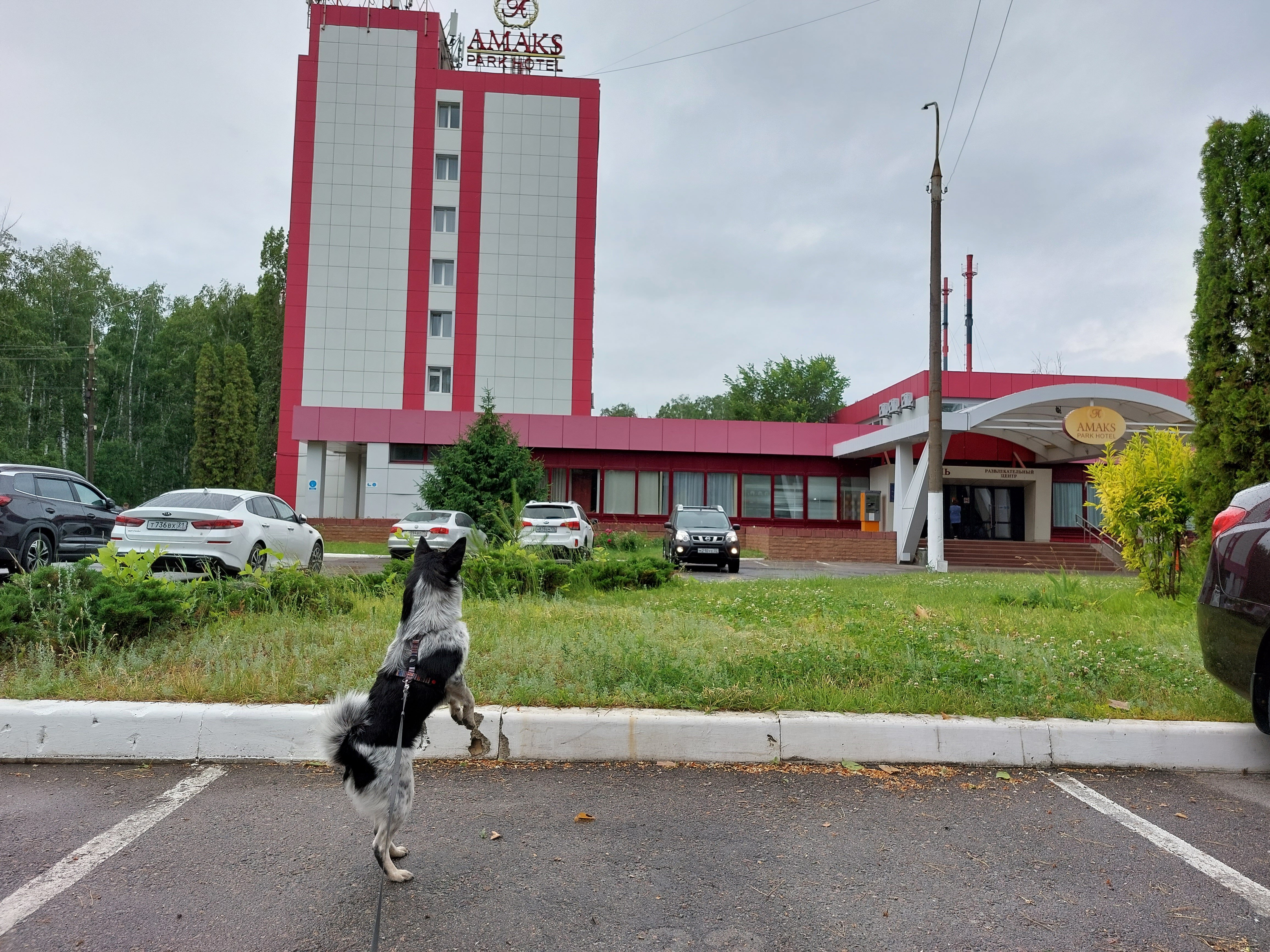 Фото Амакс Парк-отель