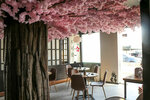 Monto (1/50, Sheikh Mohamed Bin Salem Road, Al Hamra Village, Sector 6, Ras Al Khaimah), restaurant