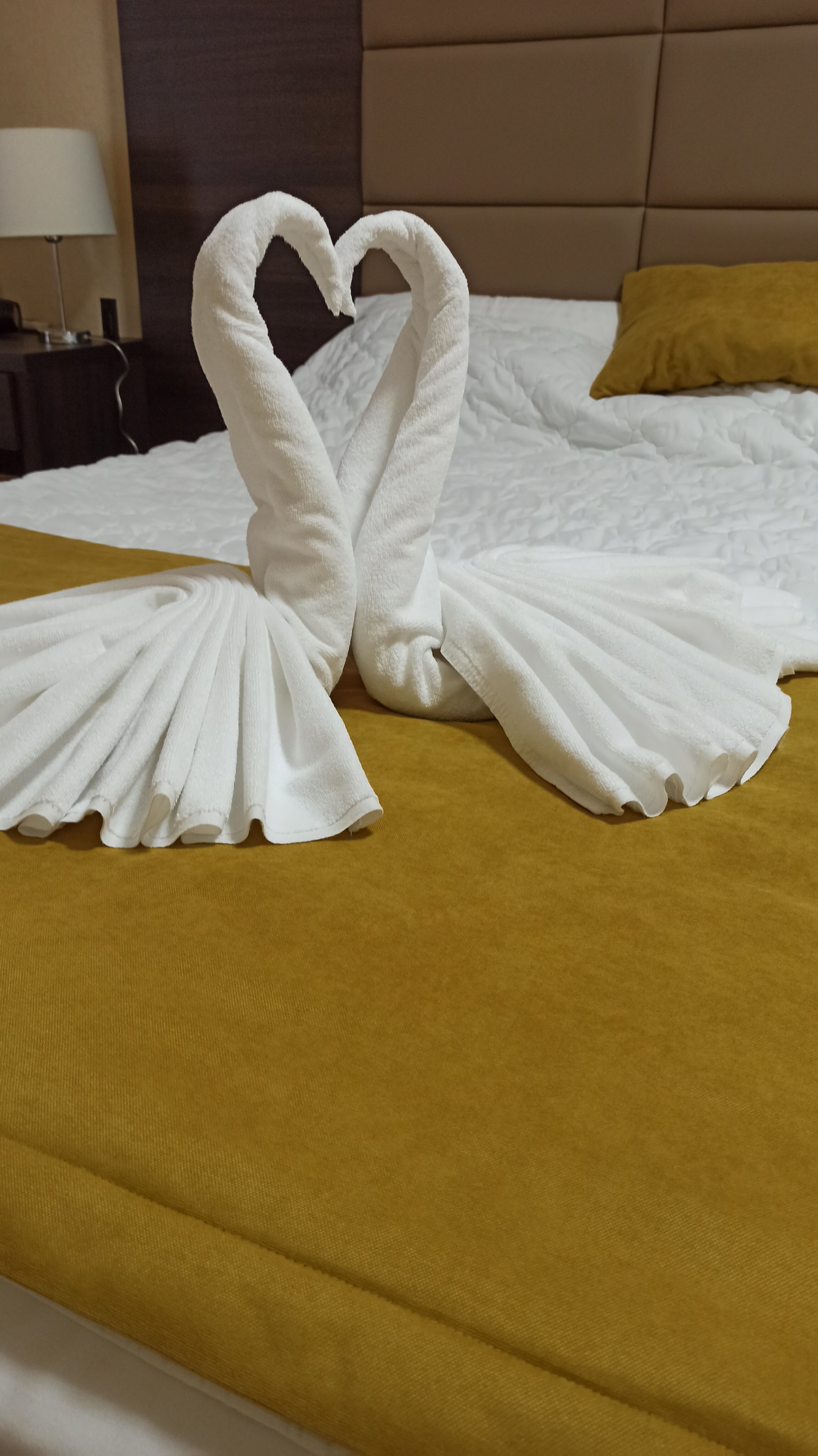 Фото Регата