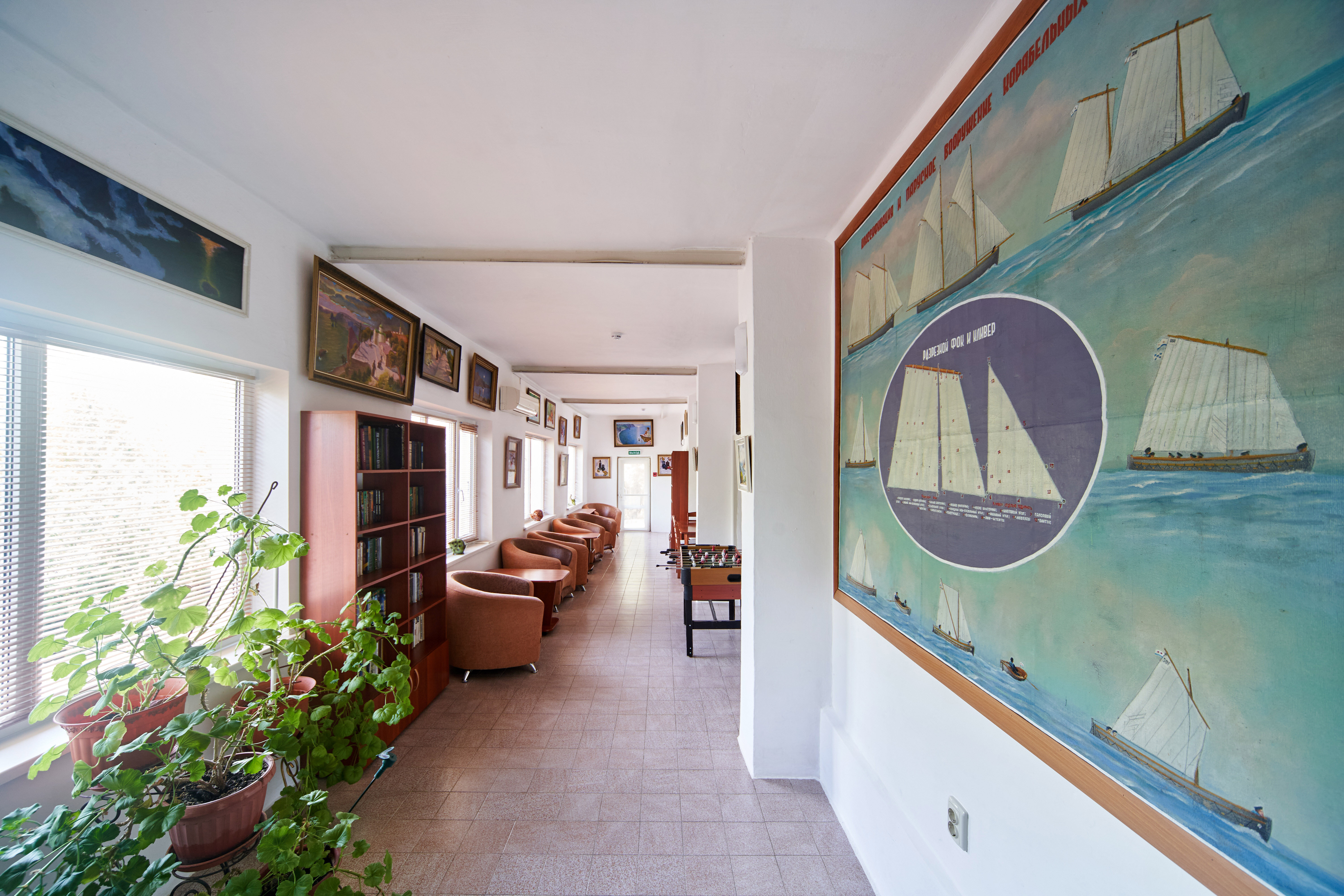 Фото Афалина