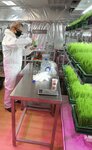 Travka Fresh (Chernyakhovskogo Street, 5к1) ، معدات مطاعم