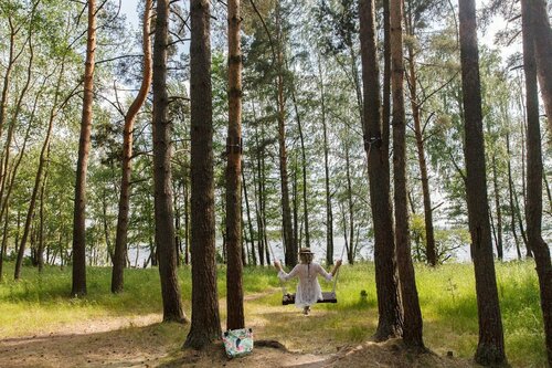 База, дом отдыха Лосево Парк, Санкт‑Петербург и Ленинградская область, фото